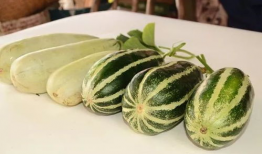 网红吃瓜爆料大全怀孕,揭秘娱乐圈怀孕大事件